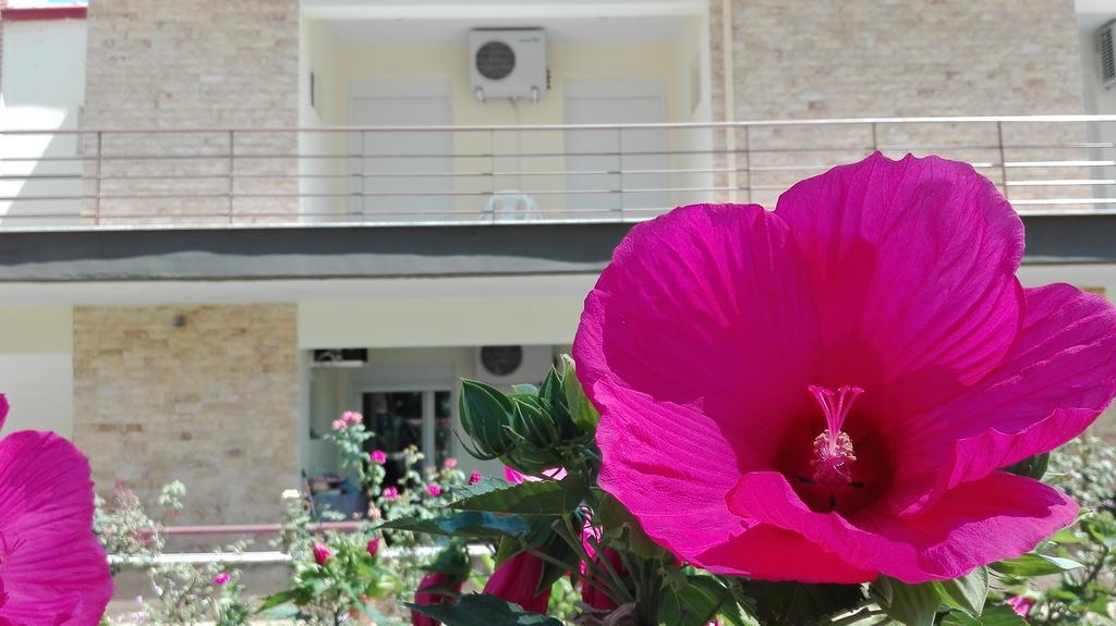Familia Hotel Loutra Volvis Ngoại thất bức ảnh